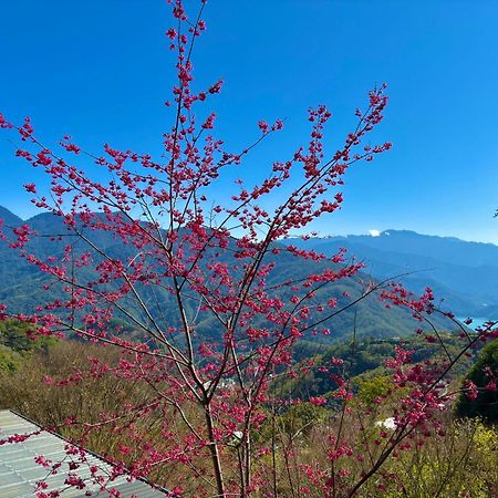 Tian Hsiang Tea B&B Renai Exterior photo