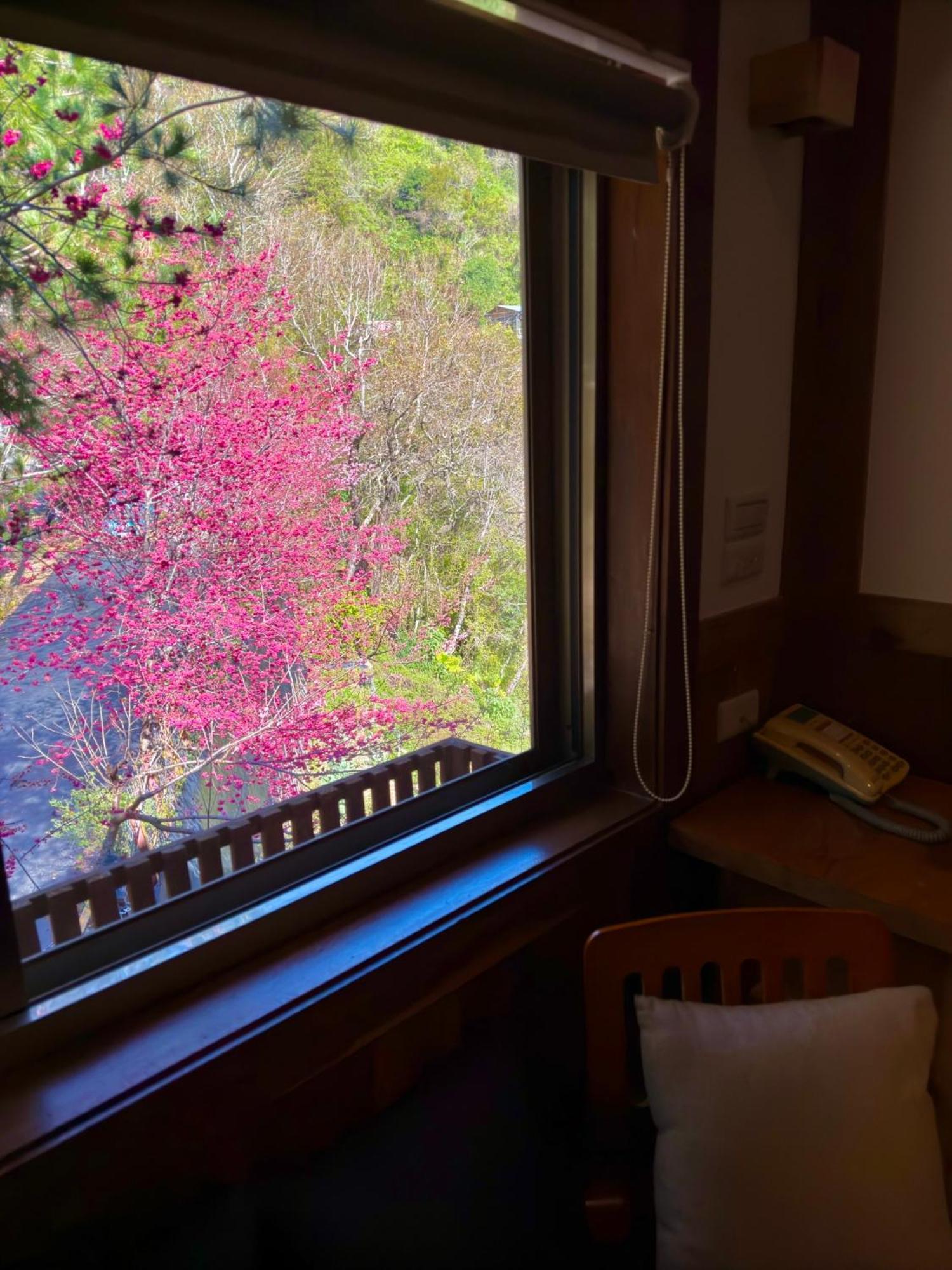 Tian Hsiang Tea B&B Renai Room photo