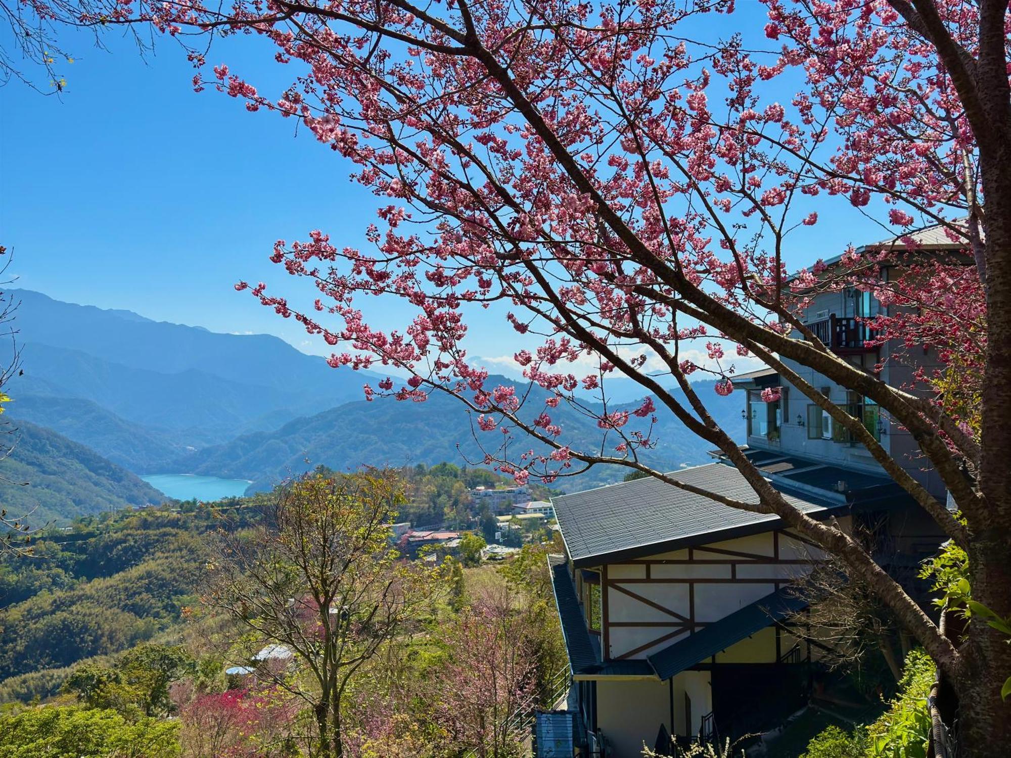 Tian Hsiang Tea B&B Renai Exterior photo