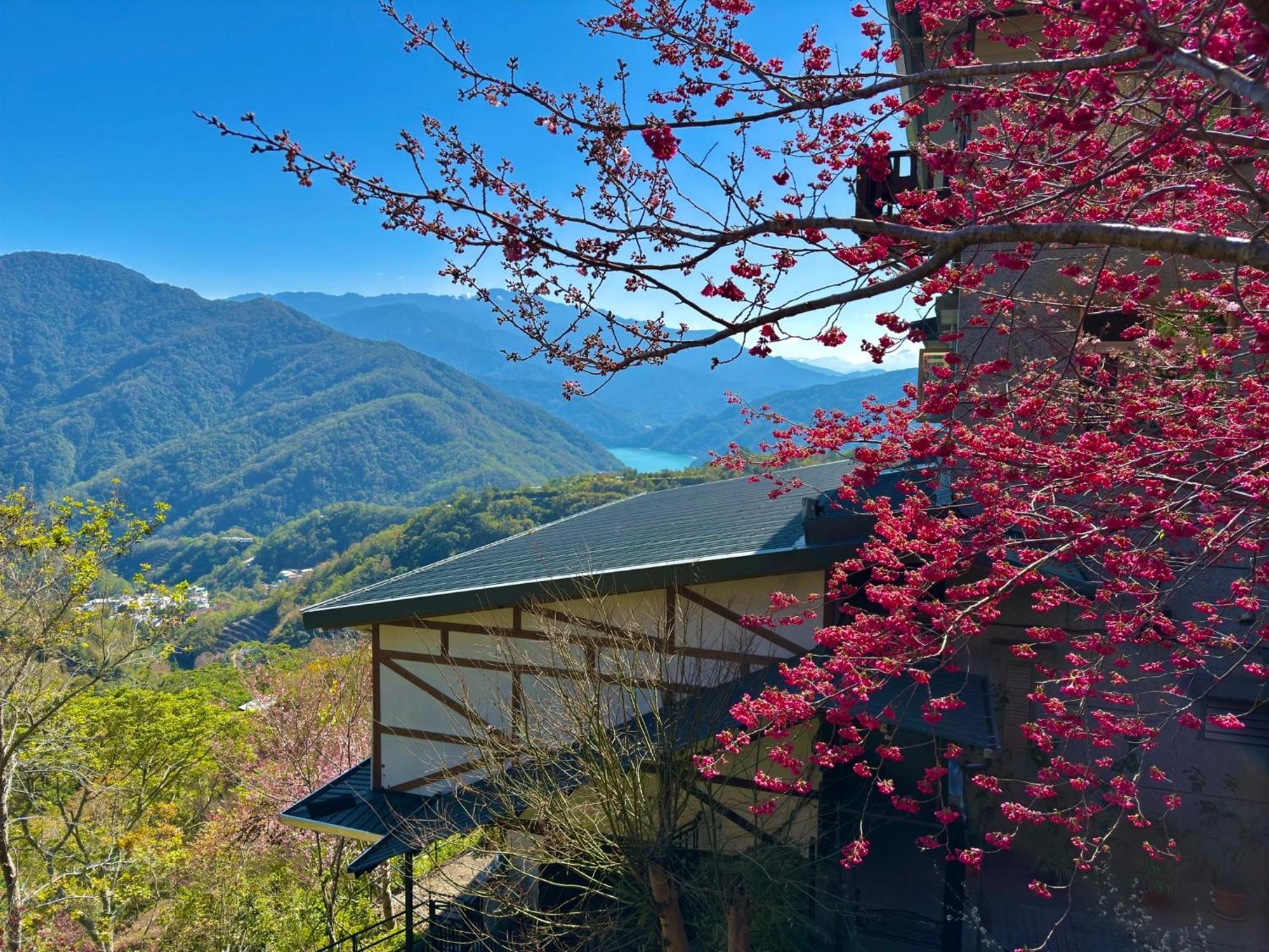 Tian Hsiang Tea B&B Renai Exterior photo